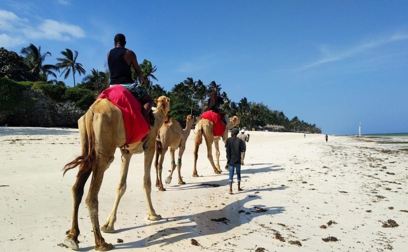 Kenya 2022 | Days 8 and 9: Burnt in Diani